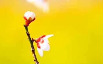 Tu như cứu lửa cháy dầu